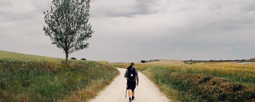 a man walks on a pilgrim path through the fields